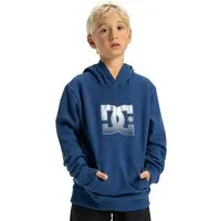 DC Shoes Hoodie DC Star Reflective