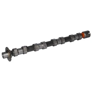Febi Nockenwelle Citroen Ford Peugeot Toyota 2,0