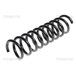 Triscan Feder hinten Ford Kuga 1 2,0 875016085