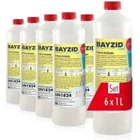 Höfer Chemie GmbH Poolpflege 6x 1 kg BAYZID® pH Plus flüssig, Erhöht zuverlässig den pH-Wert im Poolwasser