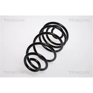Triscan Feder hinten Opel Astra H 875024127