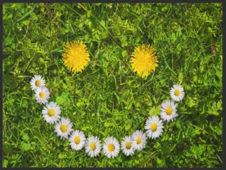 Fussmatte Smile 4969 | Größe: 60 cm x 45 cm