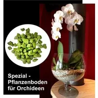 colomi Pflanzgranulat Spezial Pflanzboden für Orchideen - patentiert grün, 1 Liter
