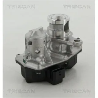 Triscan AGR-Ventil Fiat Mercedes Nissan Opel Renault