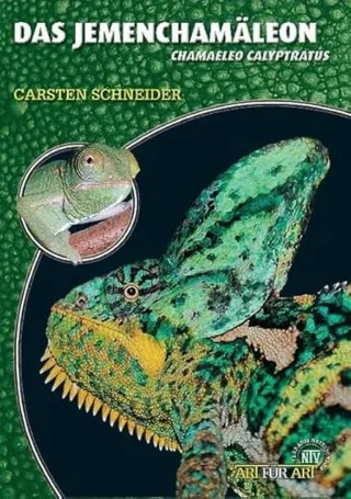 Das Jemenchamäleon: Chamaeleo calyptratus (Art für Art)