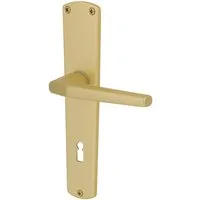 Alpertec Türgriff Alpertec BB-Langschildgarnitur Phil Aluminium F2