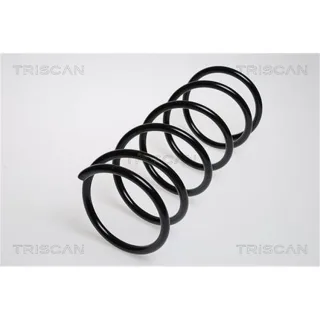 Triscan Feder vorne Ford Escort