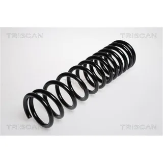 Triscan Feder hinten Ford Focus 1 875016003