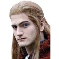 Wizardo Kostüm Elfenohren - aus Latex mit Hautkleber - Halloween, Diese Elfenohren könnten so in 'Der Herr der Ringe' zu sehen sein. Ei