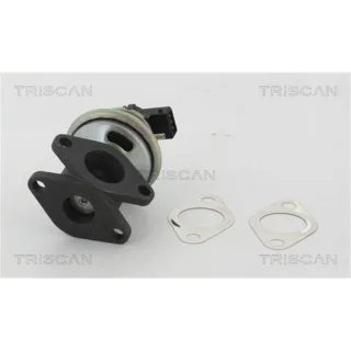 Triscan AGR-Ventil Land Rover Defender 2,5