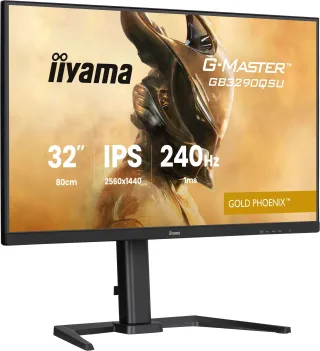 Iiyama G-MASTER Gold Phoenix GB3290QSU-B1 | gb3290qsu-b1 | LED-Monitor - Gaming