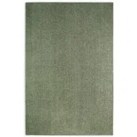 Rikmani Teppich Waschbarer Teppich Kurzflor-Teppich für Wohnzimmer, Esszimmer, Schlafz