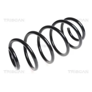 Triscan Feder vorne Skoda Octavia Yeti VW Caddy