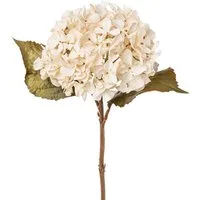 Kunstblume Kunstblume HORTENSIE 46 cm. In Trockenblumenoptik. BEIGE, Gasper