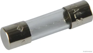 HERTH&BUSS Sicherung, Glas, F flink, 5 x 20mm, 250V max. - 50295050