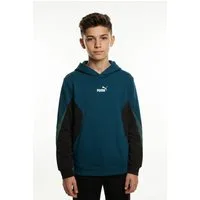 PUMA Kapuzensweatshirt ESS BLOCK HOODIE FL B mit Kapuze, Regular Fit