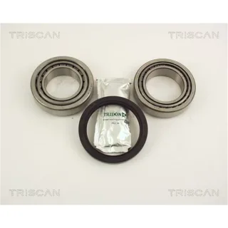 Triscan Radlager Hinten BMW 3 E46 Z3 E36 Z4 E85