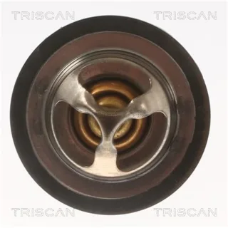 2 Triscan Gasfedern F?r Heckklappe VW Bora Golf Passat 871029242