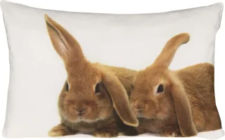 Kissenhülle BUNNY FRIENDS