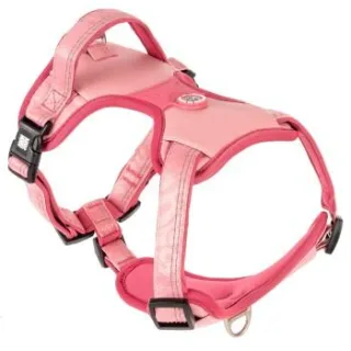Max & Molly Sport Geschirr - Matrix 2.0 Rose M