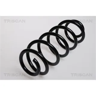 Triscan Feder vorne Audi A4 A6 875029063