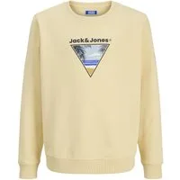 Jack & Jones Junior Sweatshirt JJPERRY SWEAT CREW MNI