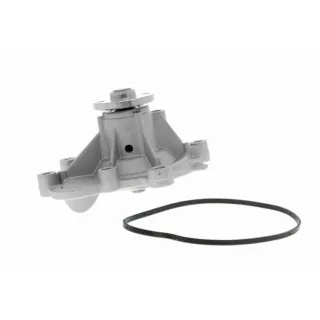 Vaico Wasserpumpe V30-50053 Mercedes C-Klasse Clc-Klasse Clk E-Klasse Slk