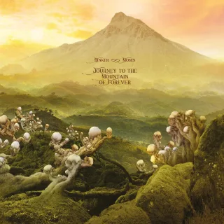 Journey To The Mountain Of For