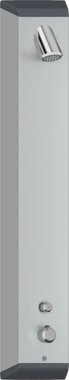 Hansa Duschpaneel HANSAPUBLIC 9650, 1-strahlig DN15 Aluminium/verchromt, 96501000 96501000