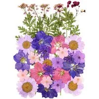 Trockenblume Gepresste Blumen, Getrocknete Blumen, DIY Getrocknete Blüten, Agger, für DIY Kerzen Harz Schmuck Anhänger Scrapbooking-Dekorationen