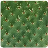 Sanilo Duschmatte Kaktus, rutschfeste & sichere Badematte, hochwertig, mit Motiv, Kunststoff PVC, quadratisch, 230 extra starke Saugnäpfe, 53 x 53 cm, waschbar