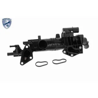 Ackoja Thermostat A52-99-0030