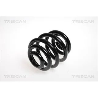 Triscan Feder hinten Audi A3 Tt VW Golf