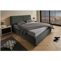 riess-ambiente Boxbett ROCCO 180x200cm dunkelgrau - Cord, mit Bettkasten & Kopfteil, modern (Einzelartikel, 1-St), gepolstertes Kopfteil & mit Stauraum - ideal für moderne Schlafzimmer