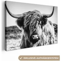 OneMillionCanvasses® Leinwandbild Schottischer Highlander - Natur - Kuh - Schwarz - Weiß, Fotodruck (1 St), Leinwand Bilder Klein, Wand Dekoration Aesthetic 30x20 cm