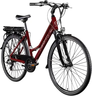 AGON "Avesa" 21 Gang Kettenschaltung Heckmotor 250 W Pedelec, Elektrofahrrad für Damen u. Herren