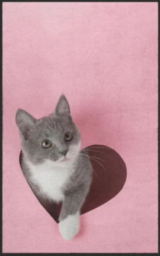 Fussmatte Katze 7282 | Größe: 60 cm x 90 cm