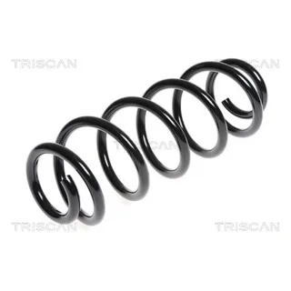 Triscan Feder hinten Fiat Sedici Suzuki Sx4 87501041