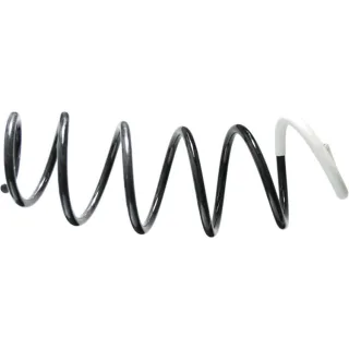 Sachs Feder vorne Citroen C3 993072