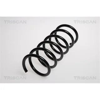 Triscan Feder hinten Fiat Panda 169 875015119