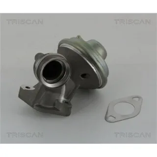 Triscan AGR-Ventil Citroen Ford Peugeot
