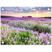 OnlyWow Poster für Garten Blumen - Lavendel - Lila - Himmel - Sonnenuntergang - Wiese, Gartenposter, Outdoor Bilder, Gartendekoration Bild, 40x30 cm