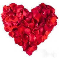 Kunstblume 1000 Rosenblätter Rosenblüten Rosen Blütenblätter Valentinstag Deko, Gravidus