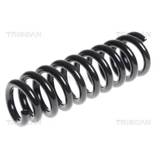 Triscan Feder vorne Toyota Hilux 7