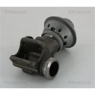 Triscan AGR-Ventil Citroen Fiat Peugeot 881328013