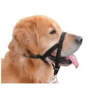 Nobby Maulkorb Nobby Easy Leader schwarz, PET