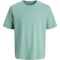 Jack & Jones Junior T-Shirt JJESTAR (1-tlg)