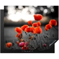 MuchoWow Herd-Abdeckplatte Wilde rote Mohnblumen auf einem großen Feld mit schwarzem und weißem H, Vinyl, (1 tlg), Abdeckung Induktionskochfeld Schutzmatte, Küche Deko, 65x52 cm