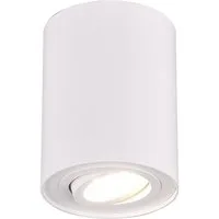 TRIO Leuchten LED Deckenstrahler, Dimmfunktion, LED wechselbar, Warmweiß, kleiner Aufbau-Spot Aufputz Strahler innen, Treppenhaus, Weiß Ø 9,6cm