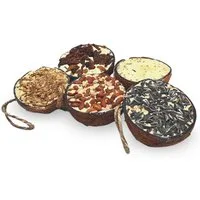Lyra Pet 3 x 10 Stk. Lyra Pet® Halbe Kokosnuss gefüllt mit Topping Vogelfutter, für: Wildvogel